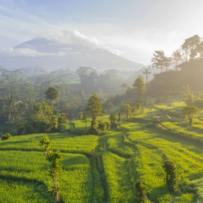 Discover Indonesia's Iconic Skylines: A Guide to Famous City Towers