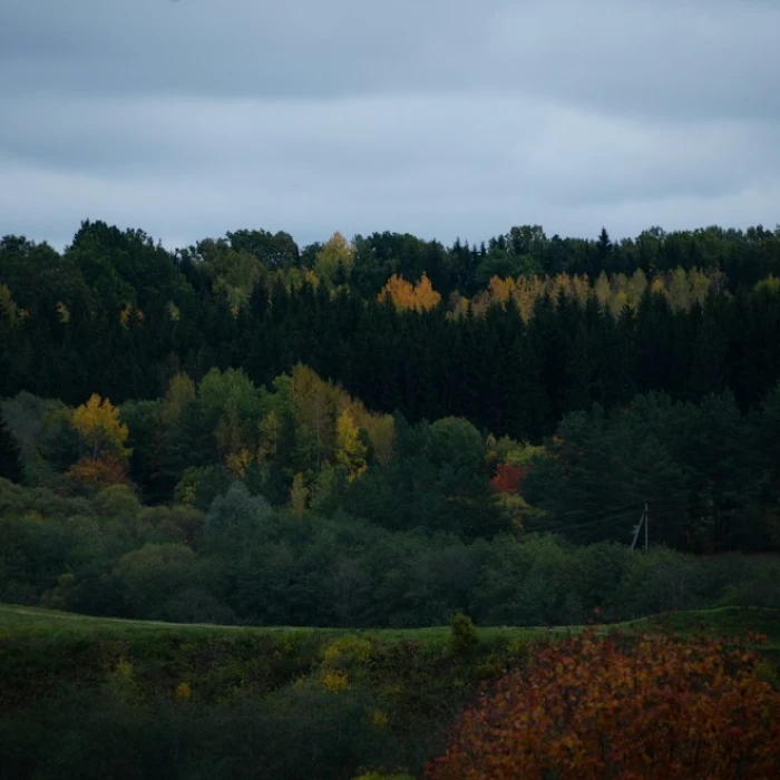 Hands-On Lithuania: Experience Culture with the Best Local Crafts Workshops for Tourists