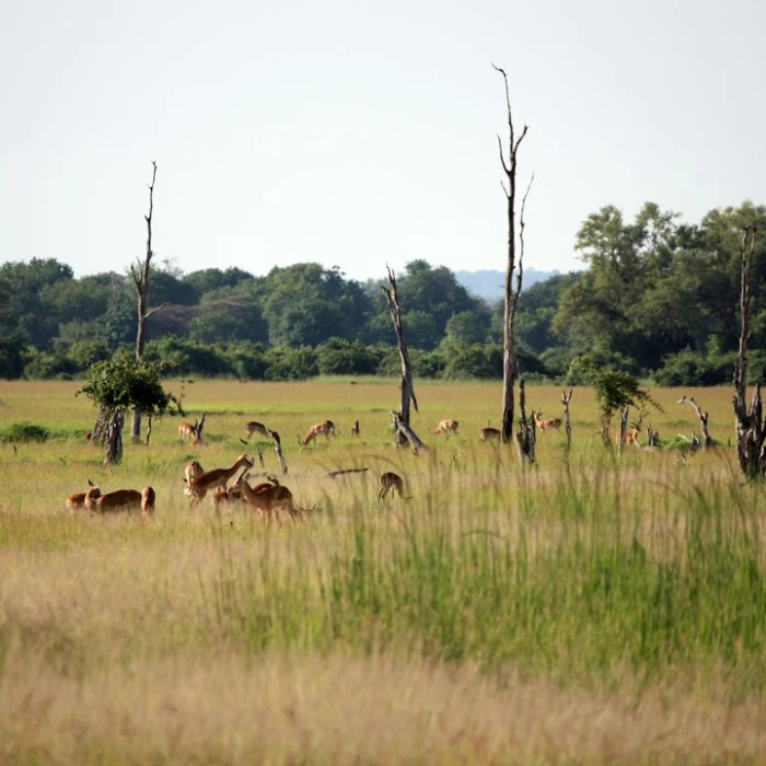 Zambia Travel Style Guide: How to Dress Like a Local & Blend In Seamlessly