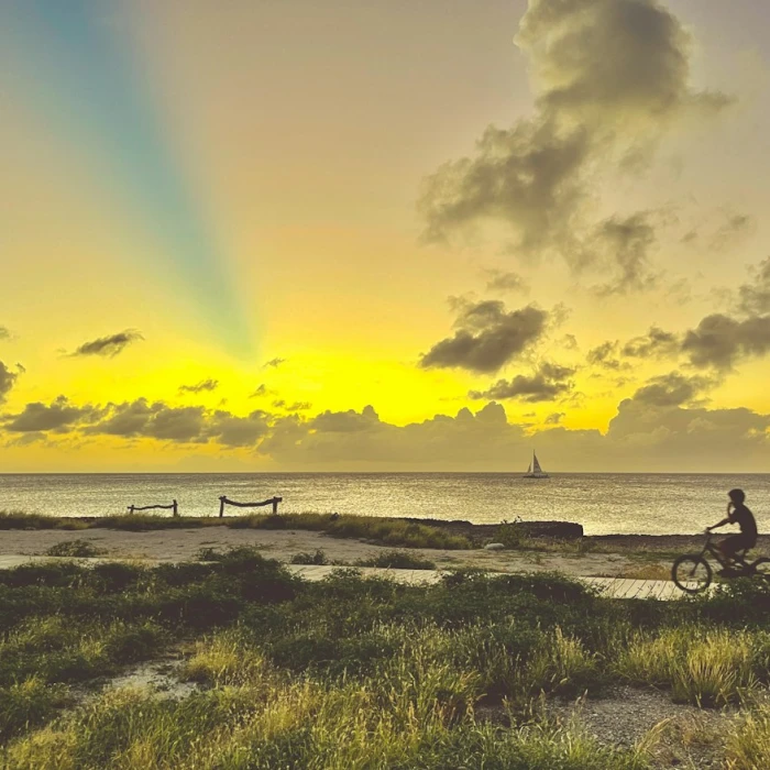 Exploring Aruba on a Moped: Tips for a Two-Wheeled Adventure
