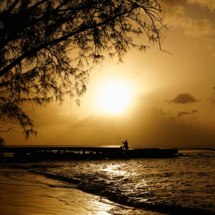 Your Ultimate Guide to Hassle-Free Local Laundry Services in Barbados