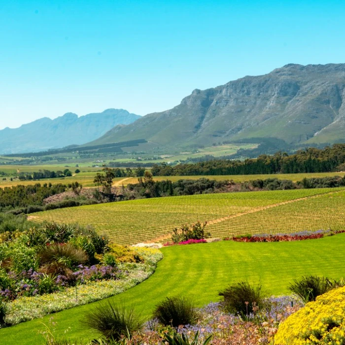Unearthing South Africa's Ghostly Secrets: A Haunting Travel Guide