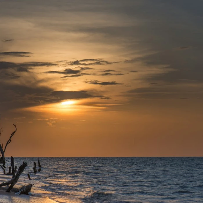 Suriname Packing Guide: Essential Gear for Your Tropical Adventure