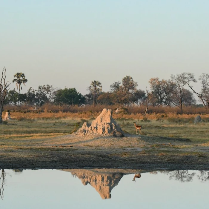 Discovering Botswana's Sacred Sites: A Guide to Religious Landmarks and Temples