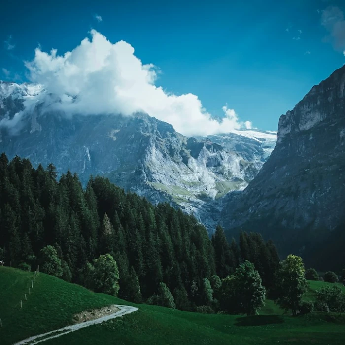 The Best Public Parks and Gardens for a Relaxing Afternoon in Europe Lite