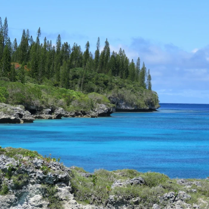 Discover Bermuda's Vibrant Street Performers & Buskers: A Guide to Island Entertainment