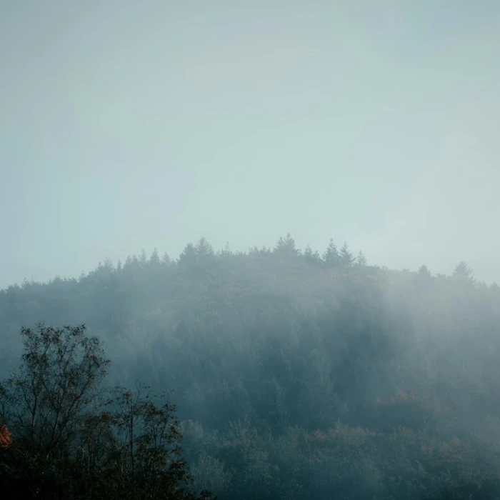 Unveiling Tranquility: The Best Silent Retreats in Luxembourg