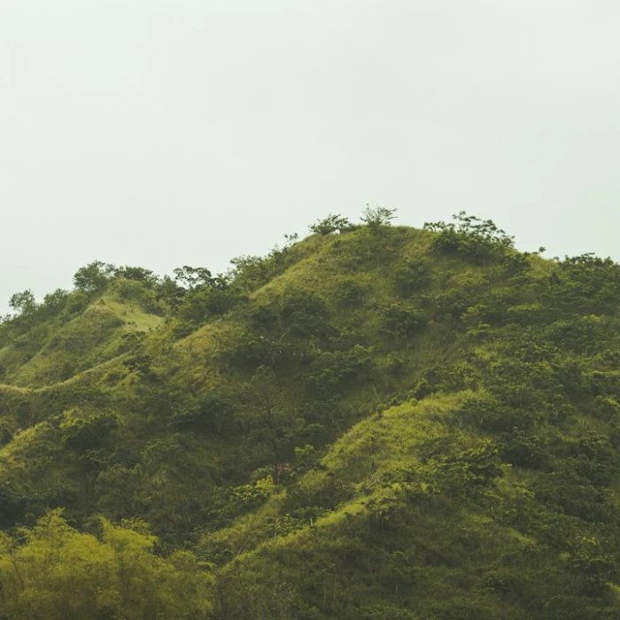Unveiling Jamaica's Timeless Heritage: A Guide to Its Most Iconic Clock Towers