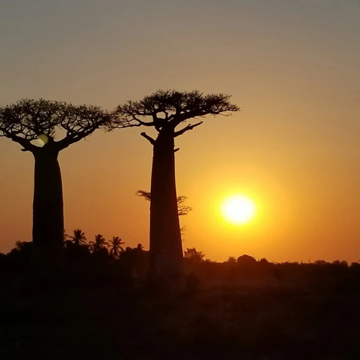 Top 7 Hidden Gems in Madagascar You Won't Find in Guidebooks