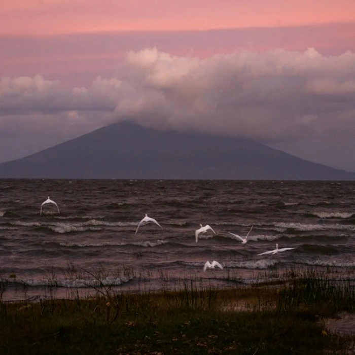 Scoop into Paradise: Your Ultimate Guide to Nicaragua's Best Local Ice Cream