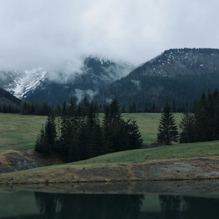 Unveiling Slovakia's Hidden Depths: A Journey Through Its Vibrant Underground Scenes