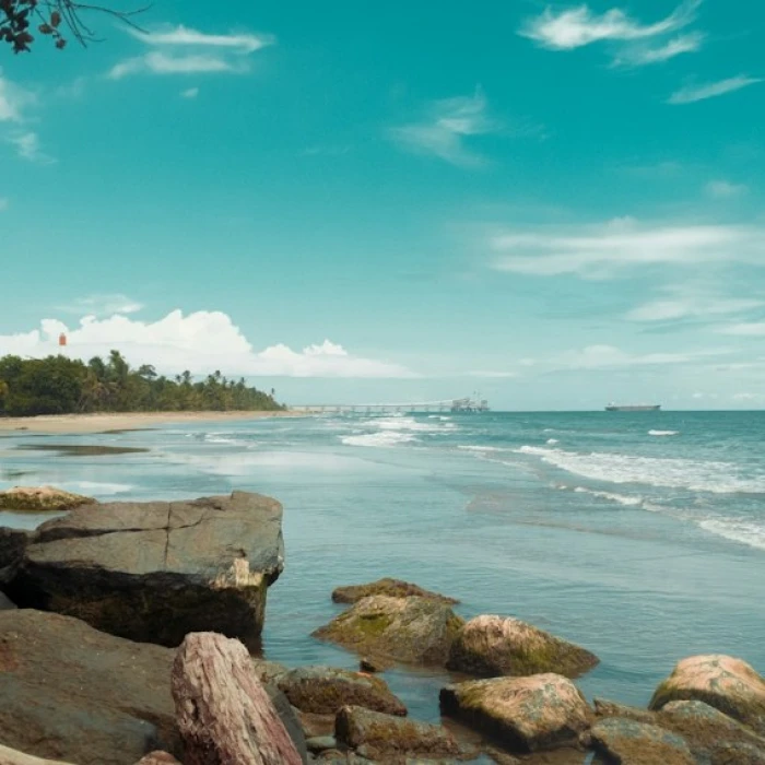 A Culinary Journey: Must-Try Traditional Dishes in Panama
