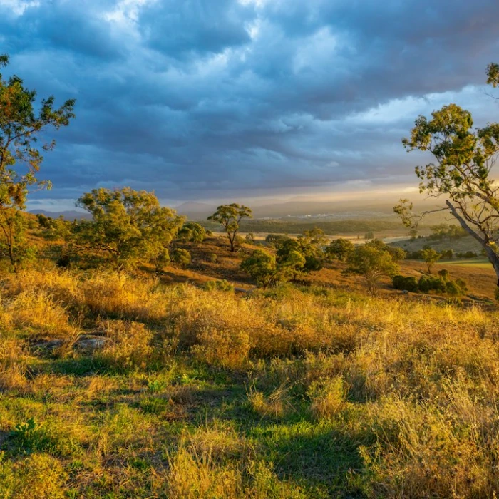 Master Aussie Lingo: Your Essential Guide to Australian Phrases for Travelers