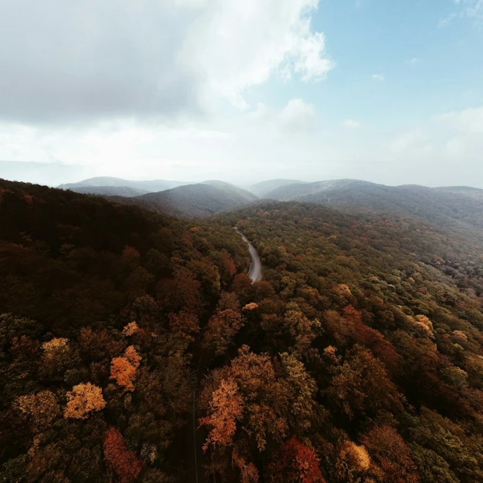 Discover Authentic Kosovo: Top Local Crafts Workshops for Tourists