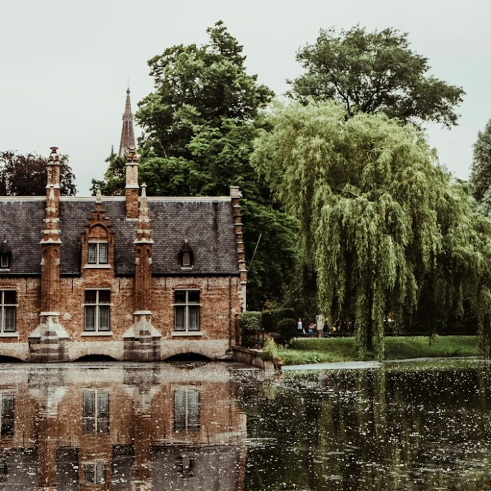 Navigating Belgian Higher Education: A Guide to Top Universities & Schools