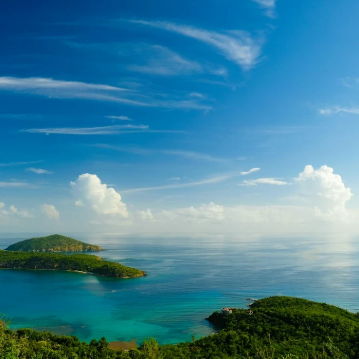 Unveiling the Rhythmic Soul: A Journey Through Traditional Caribbean Music & Dance