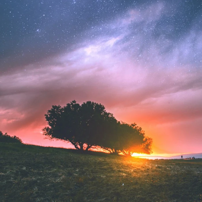 Unforgettable Algerian Picnics: Discover the Best Spots with Breathtaking Views