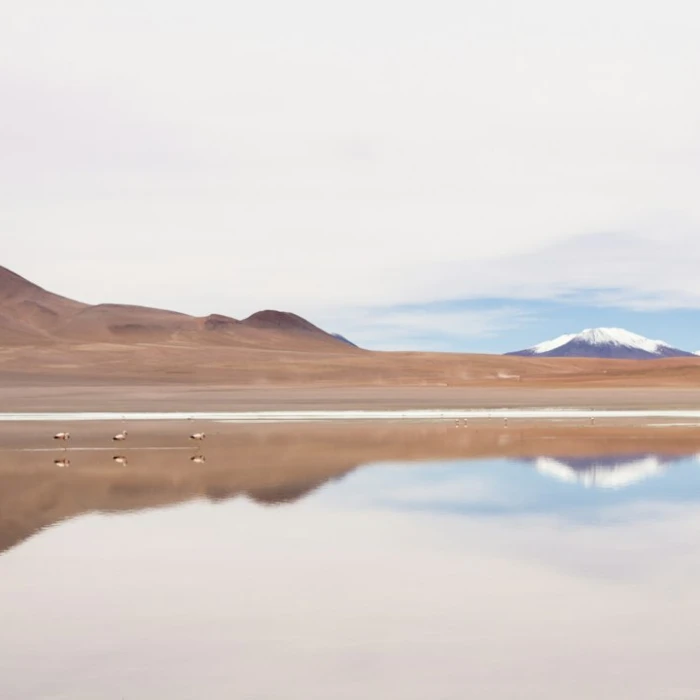 Discover Bolivia's Sweet Secrets: Your Guide to the Best Local Bakeries