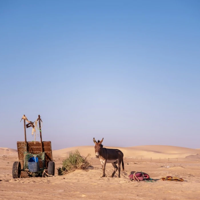 The Top 5 Ski Resorts in Mauritania for Winter Sports
