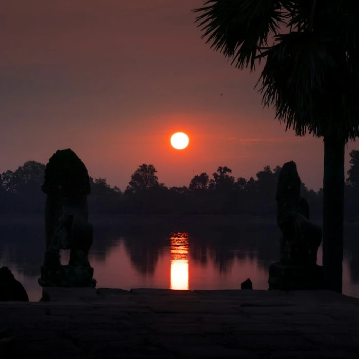 Unforgettable Views: The Best Scenic Tram Rides in Cambodia