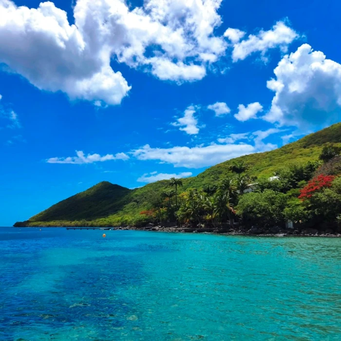 Uncover Martinique's Best Rock Climbing & Bouldering Adventures