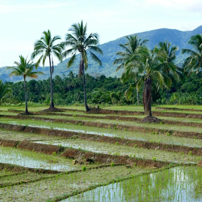 Your Ultimate Guide to Sustainable Philippines Travel: Crafting an Eco-Friendly Itinerary