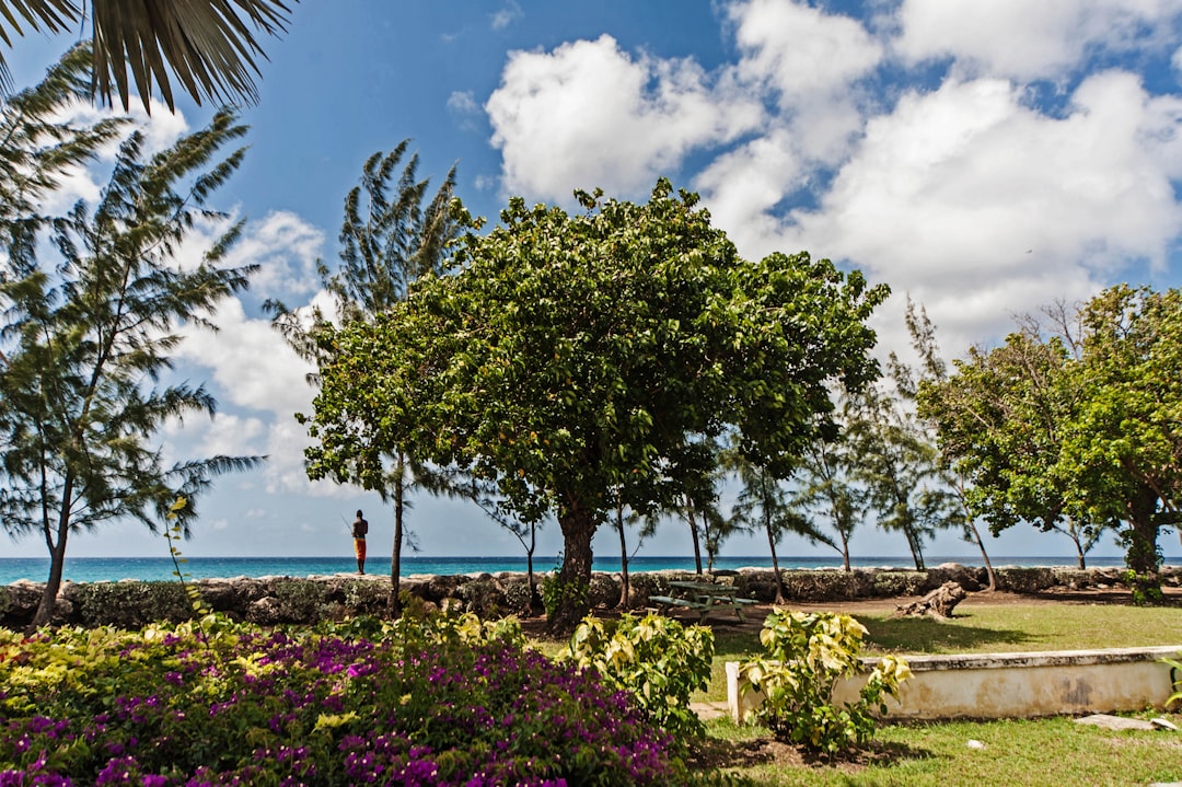 Your Essential Guide to Money and Currency Exchange in Barbados