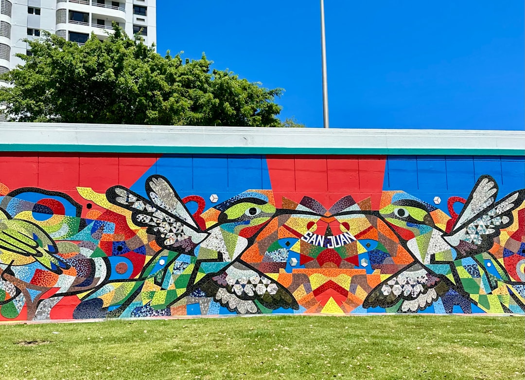 The Best Places for a Mountain Bike Adventure in Puerto Rico