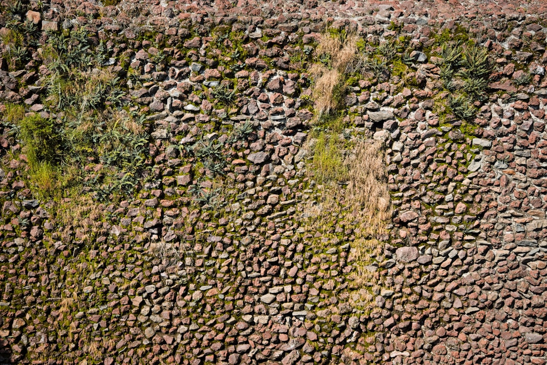 Unlocking Jersey's Best Spa Treatments: Your Ultimate Local Guide