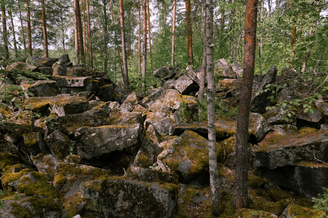 Finland's Best Rooftop Bars: Elevate Your Nordic Nights