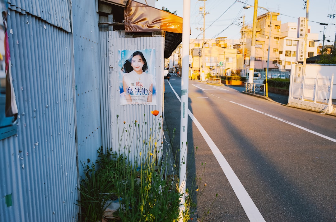 Japan's Public Toilets: An Ultimate Guide to Hygiene & Etiquette for Travelers