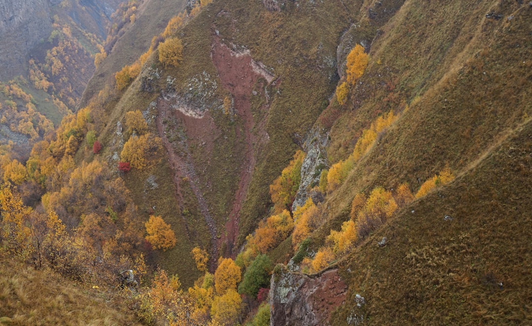 Unlock Convenience: Your Ultimate Guide to Local Delivery Apps in Georgia