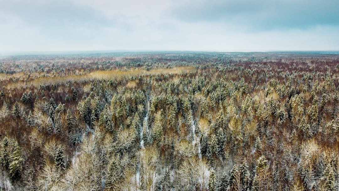 How to Volunteer Ethically While Traveling in Russian Federation