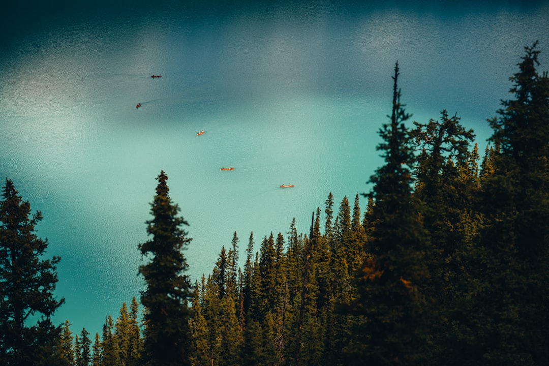 Where to Stay in North America: A Guide to the Best Neighborhoods