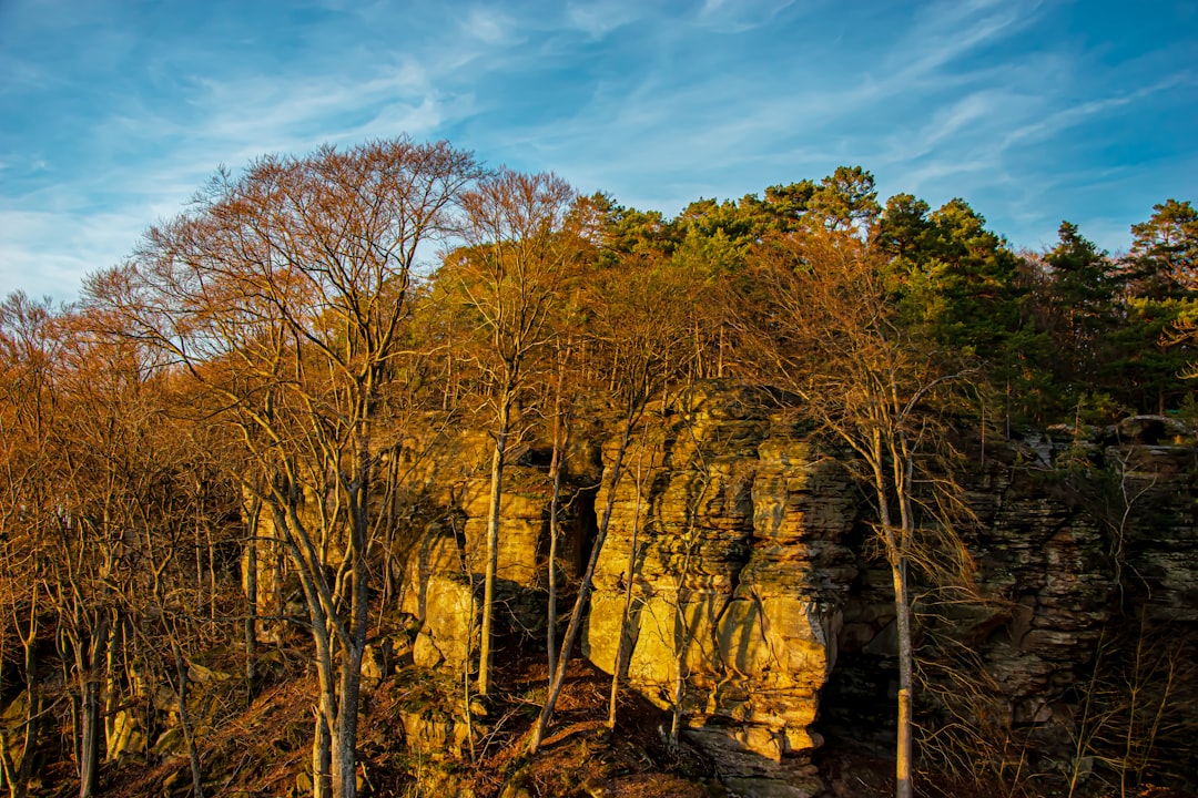 Unlocking Luxembourg's Past: A Guide to Its Historic City Gates