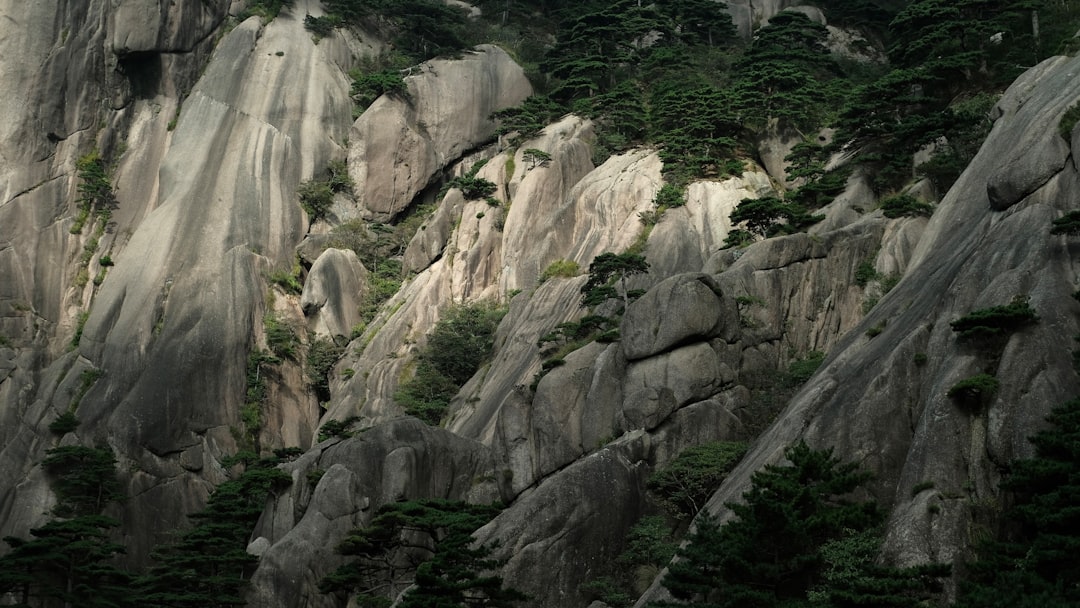 Savor China: Your Ultimate Guide to Must-Try Traditional Chinese Dishes