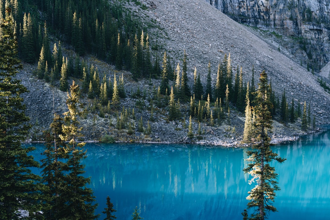 Unveiling North America's Vibrant Craft Beer Scene: Your Ultimate Exploration Guide