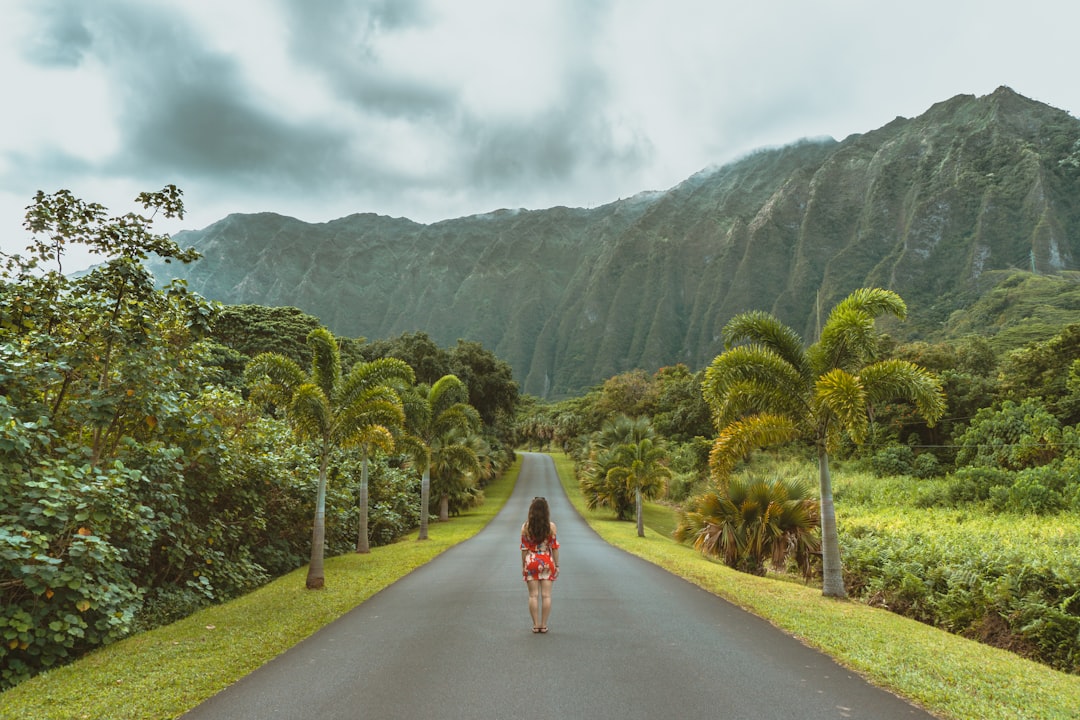 Ethical Volunteering in Hawaii: Make a Positive Impact on Your Trip