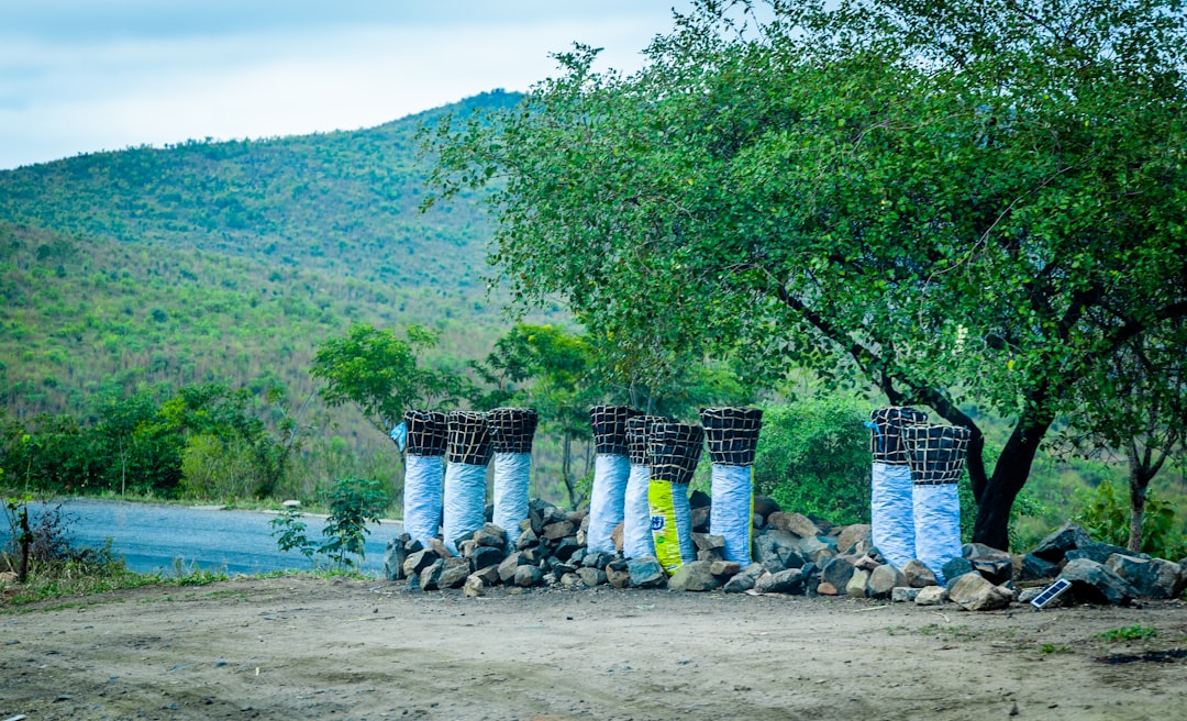 Discover Malawi's Iconic Clock Towers: A Journey Through Time