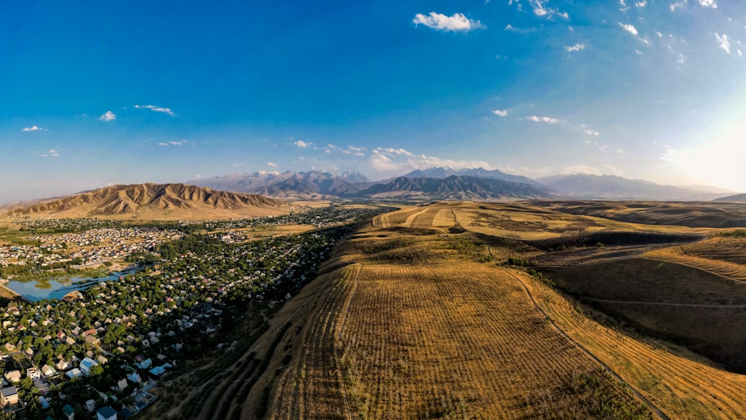Discover Kyrgyzstan's Local Flavors: Your Ultimate Supermarket Shopping Guide