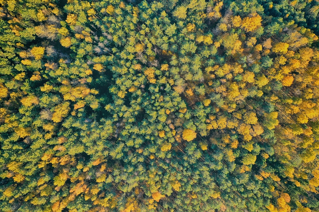 Discover Belarus's Iconic Urban Art: A Guide to Its Most Famous City Statues