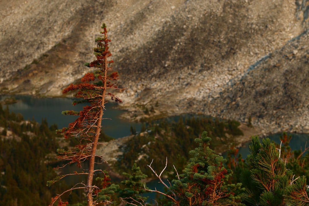 Discovering Canada's Vibrant Traditional Music and Dance Heritage