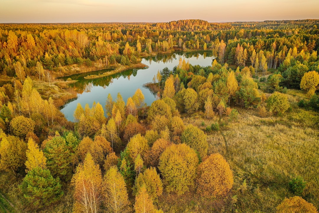 Discover Belarus's Vibrant Coffee Scene: Top Cafes for Every Caffeine Lover