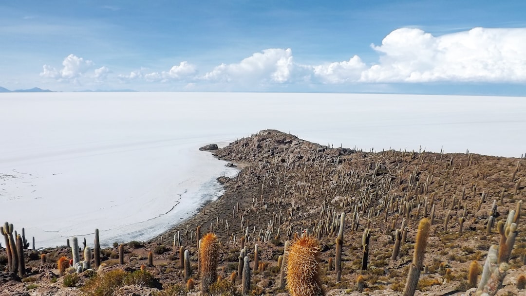 Hiking and Adventure: The Most Scenic Trails in Bolivia