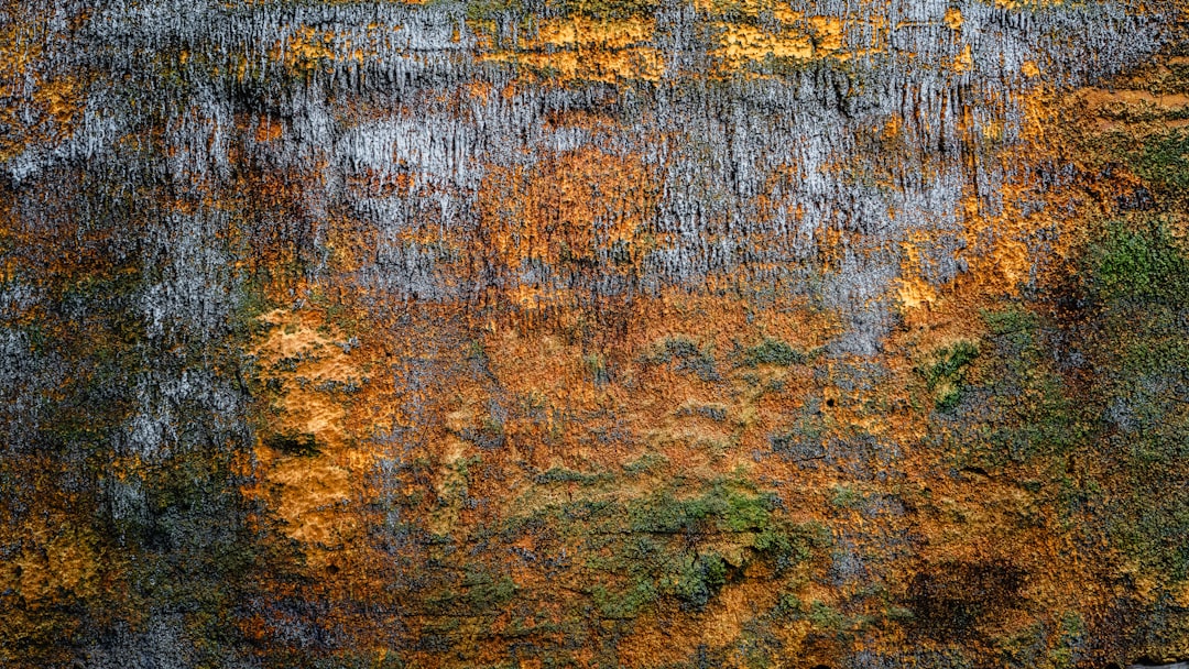 Chasing First Light: The Ultimate Guide to Sunrise Hikes in the CIS