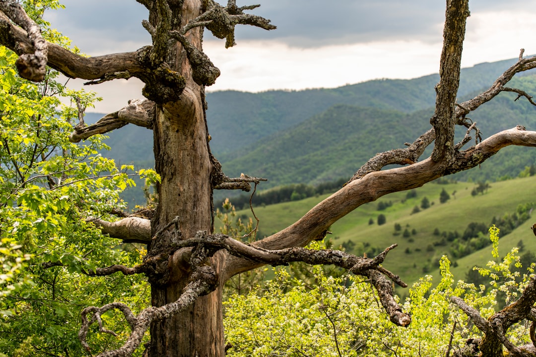 Serbia's Hidden Depths: Exploring the Best Caves & Grottoes for Adventure Seekers