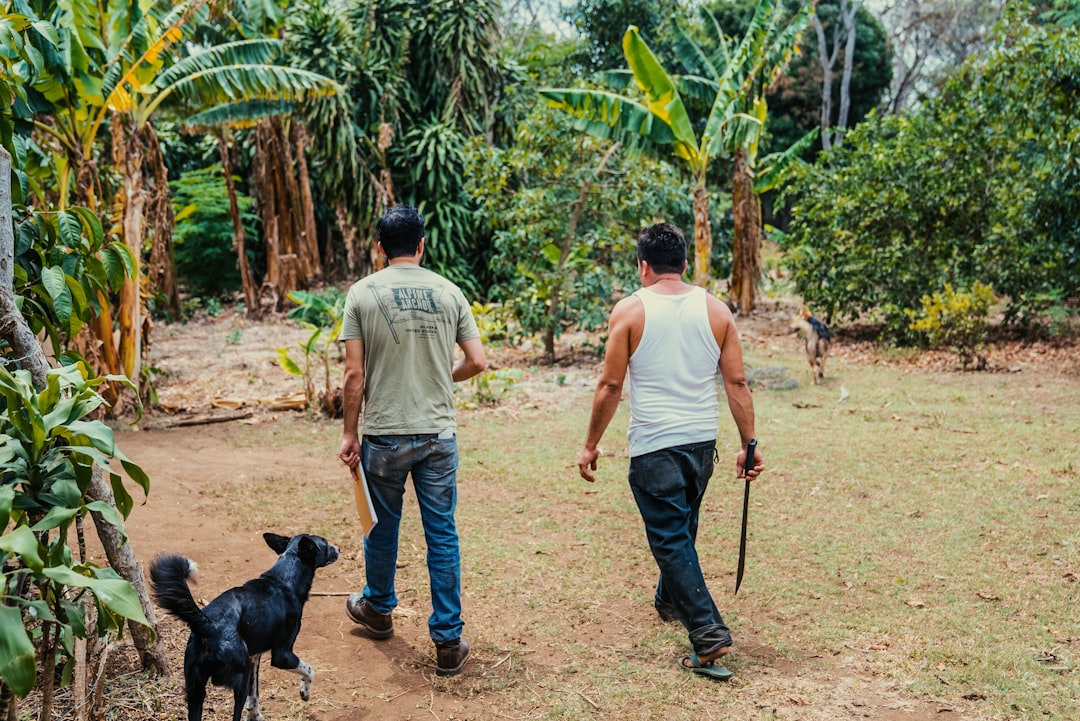Navigating Nicaraguan Restrooms: An Essential Guide for Travelers