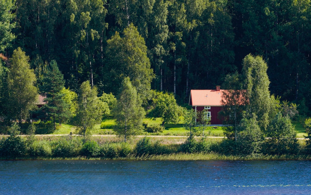 Discover Sweden's Iconic City Statues: Your Ultimate Guide to Public Art & History