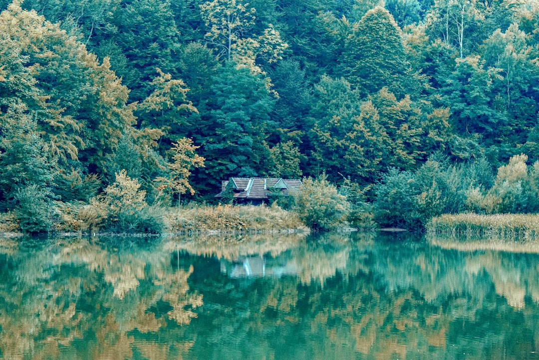 Explore Bosnia and Herzegovina by Moped: Your Ultimate Two-Wheeled Adventure Guide
