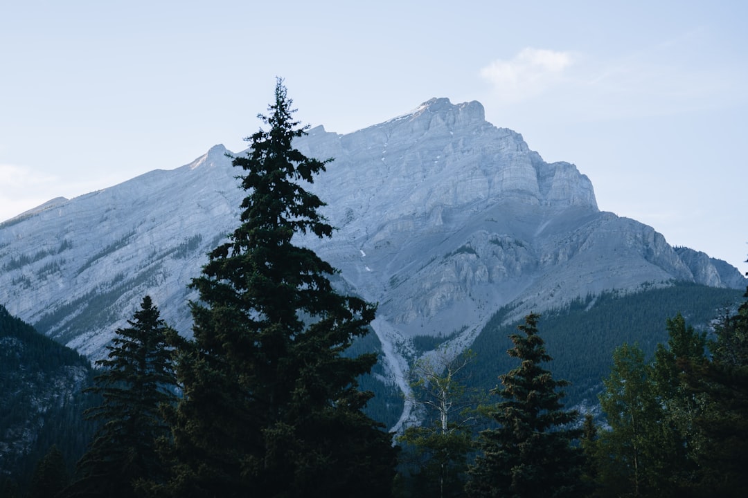 Discover North America's Best Local Coffee Scenes: A Traveler's Guide